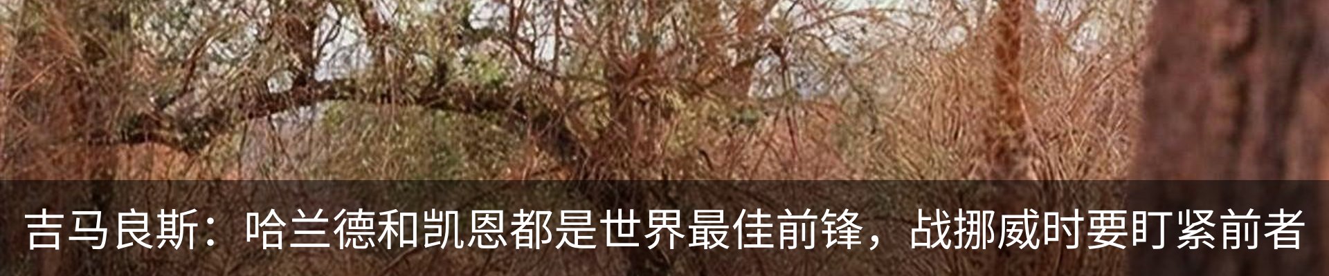 行业资讯