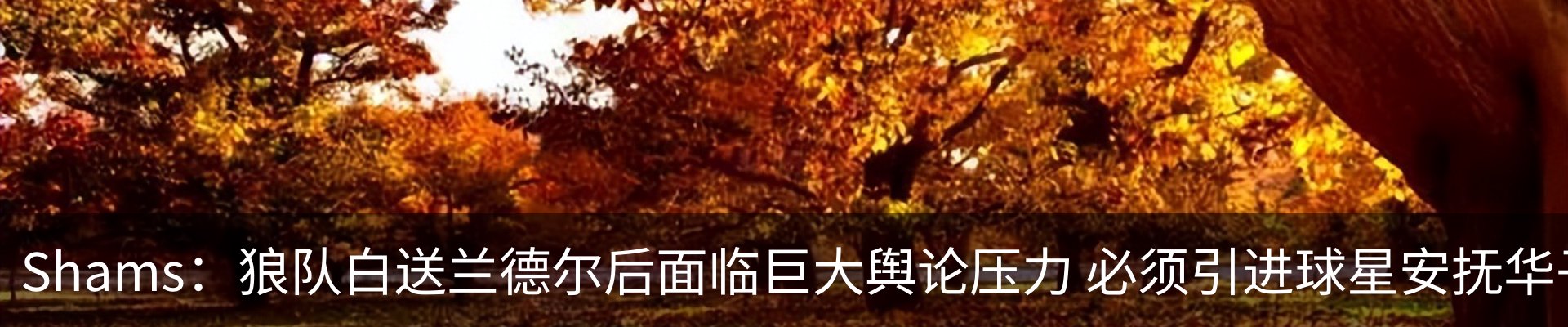 行业资讯